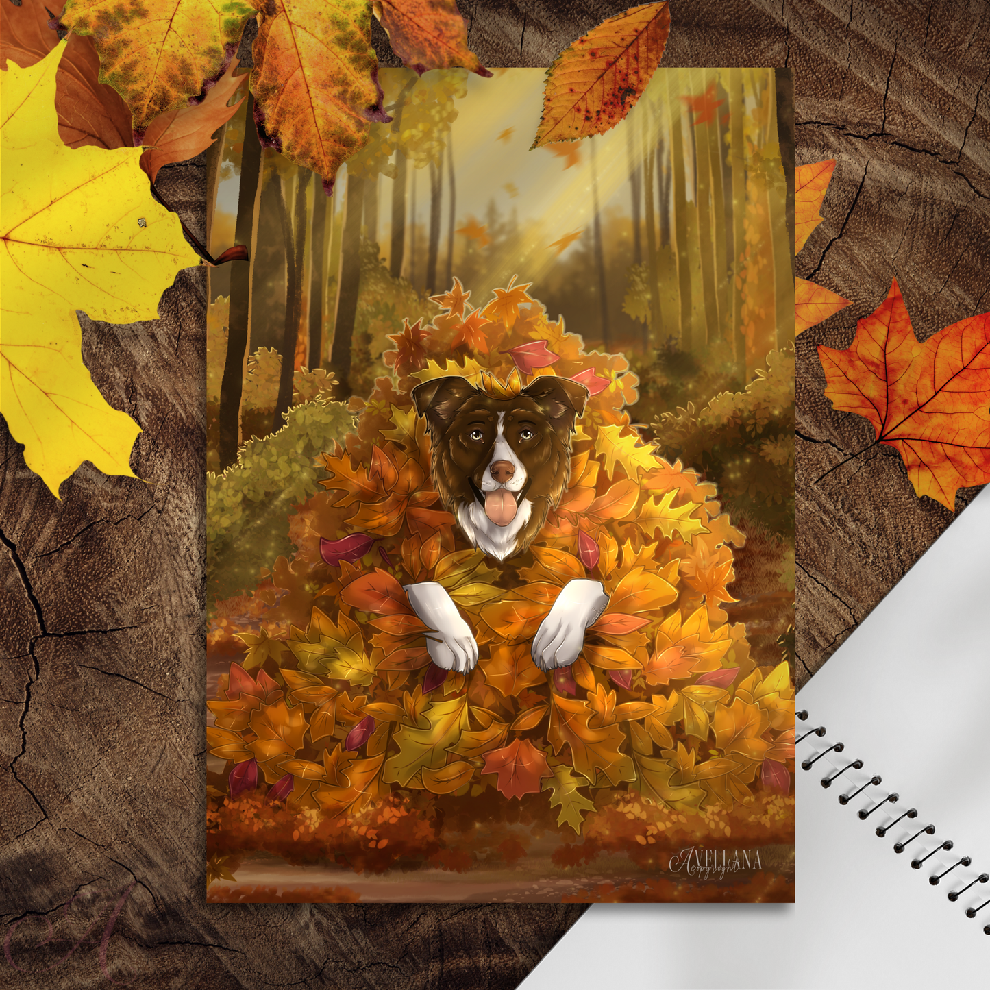 FLASH d'Automne 2025