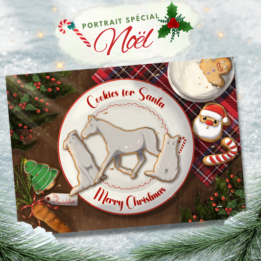 Portrait spécial Noël 2025