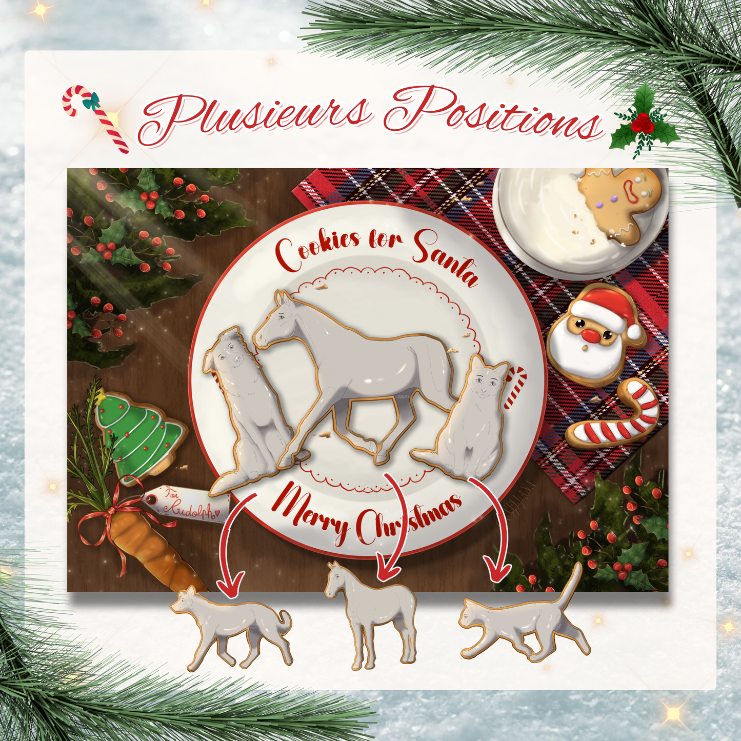 Portrait spécial Noël 2025