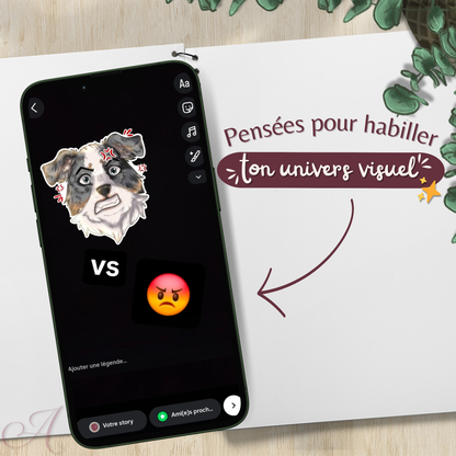 Illustrations décoratives personnalisées