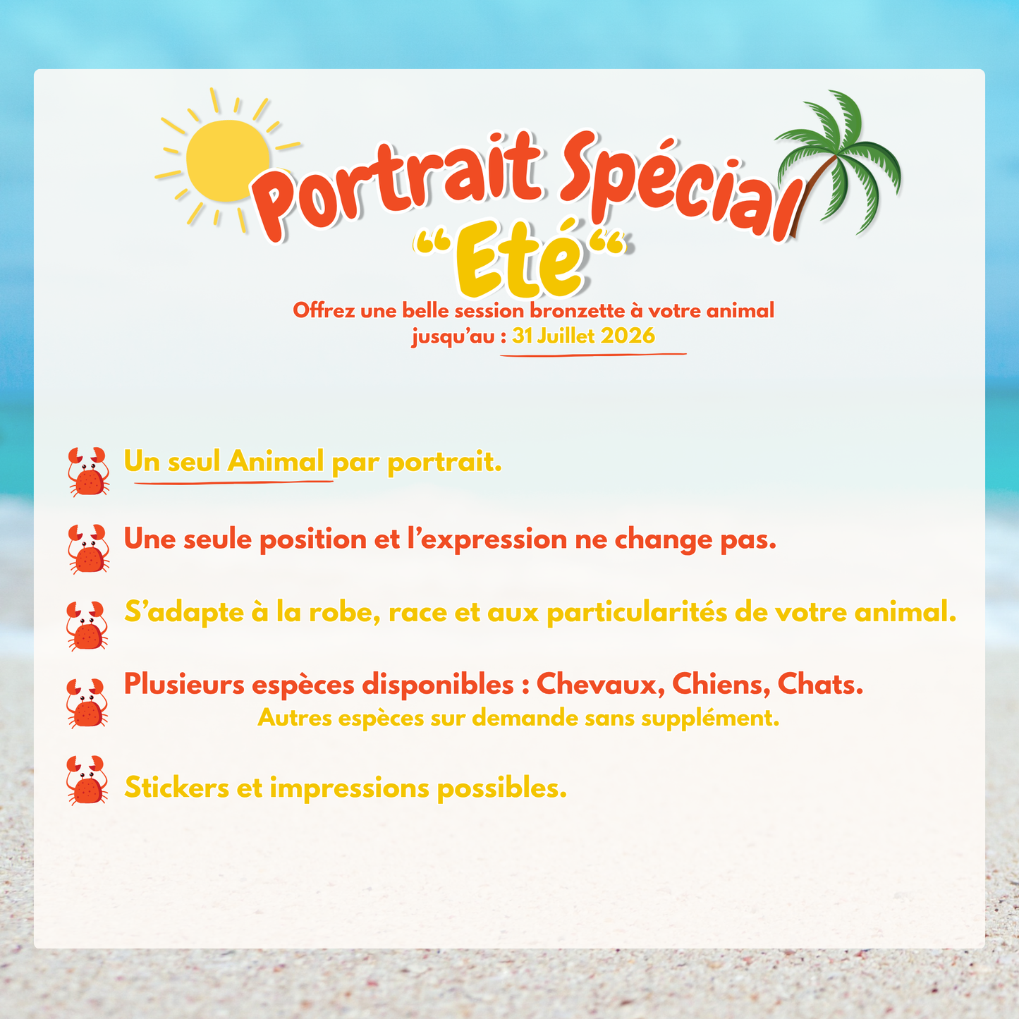 Portrait Spécial Eté 2026