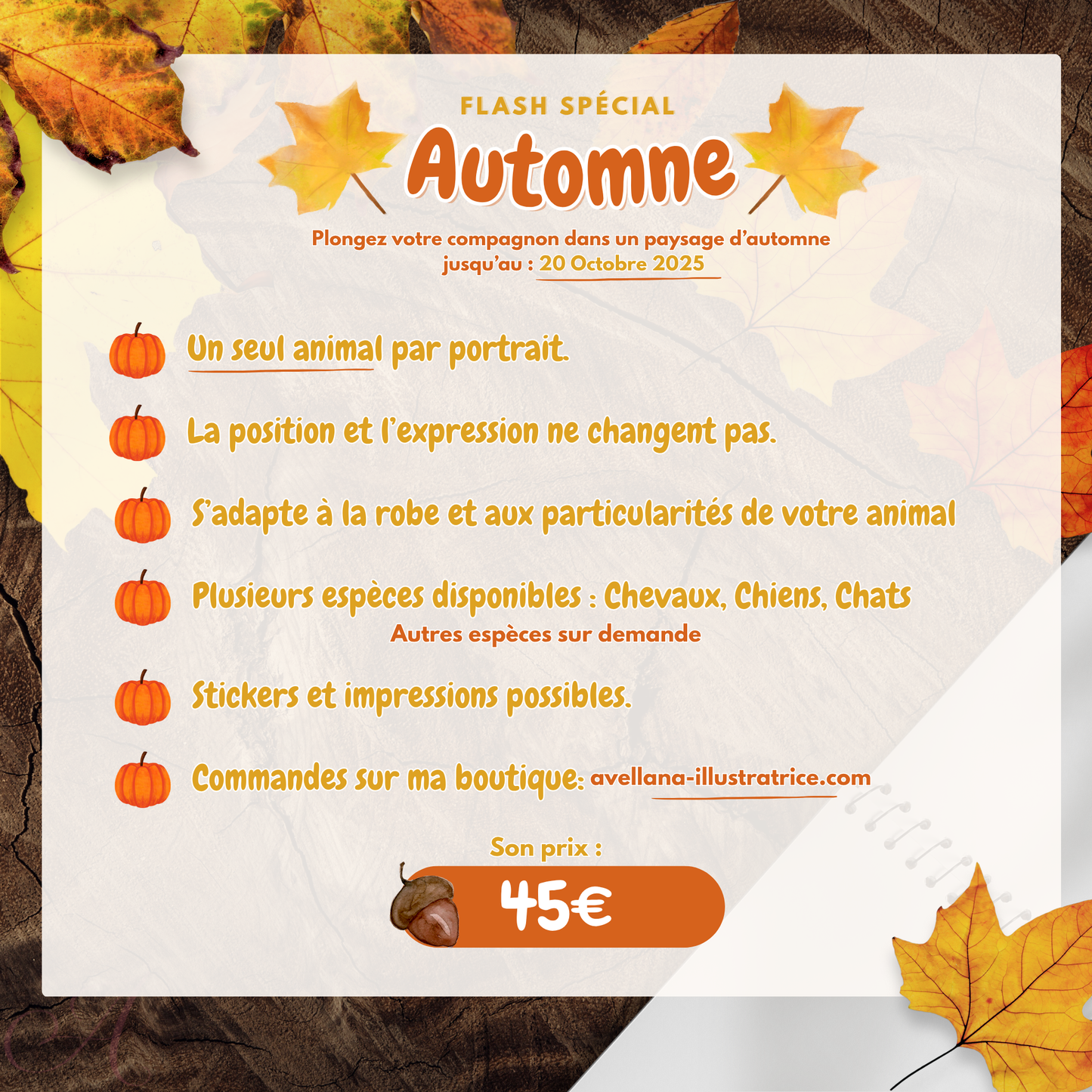 FLASH d'Automne 2025