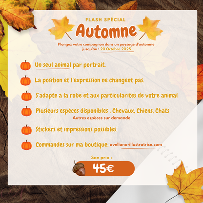 FLASH d'Automne 2025