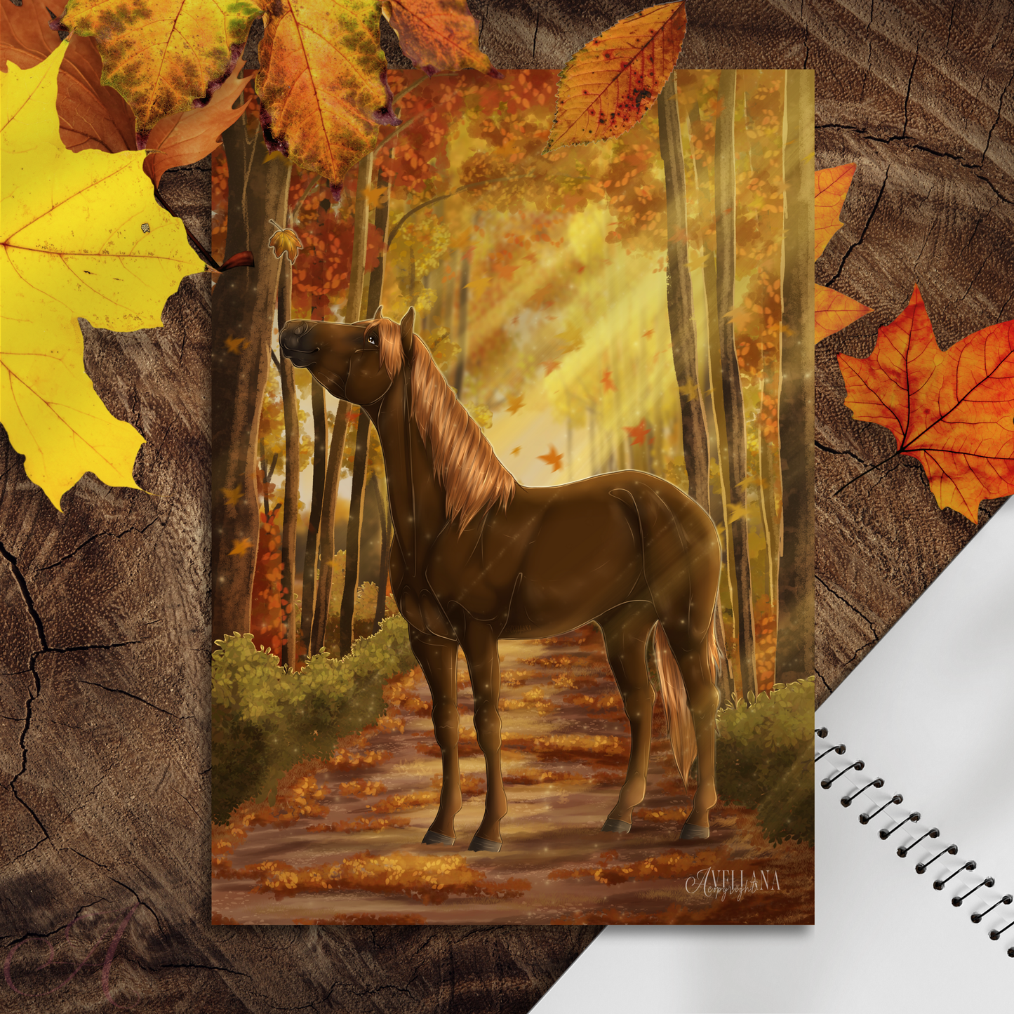 FLASH d'Automne 2025