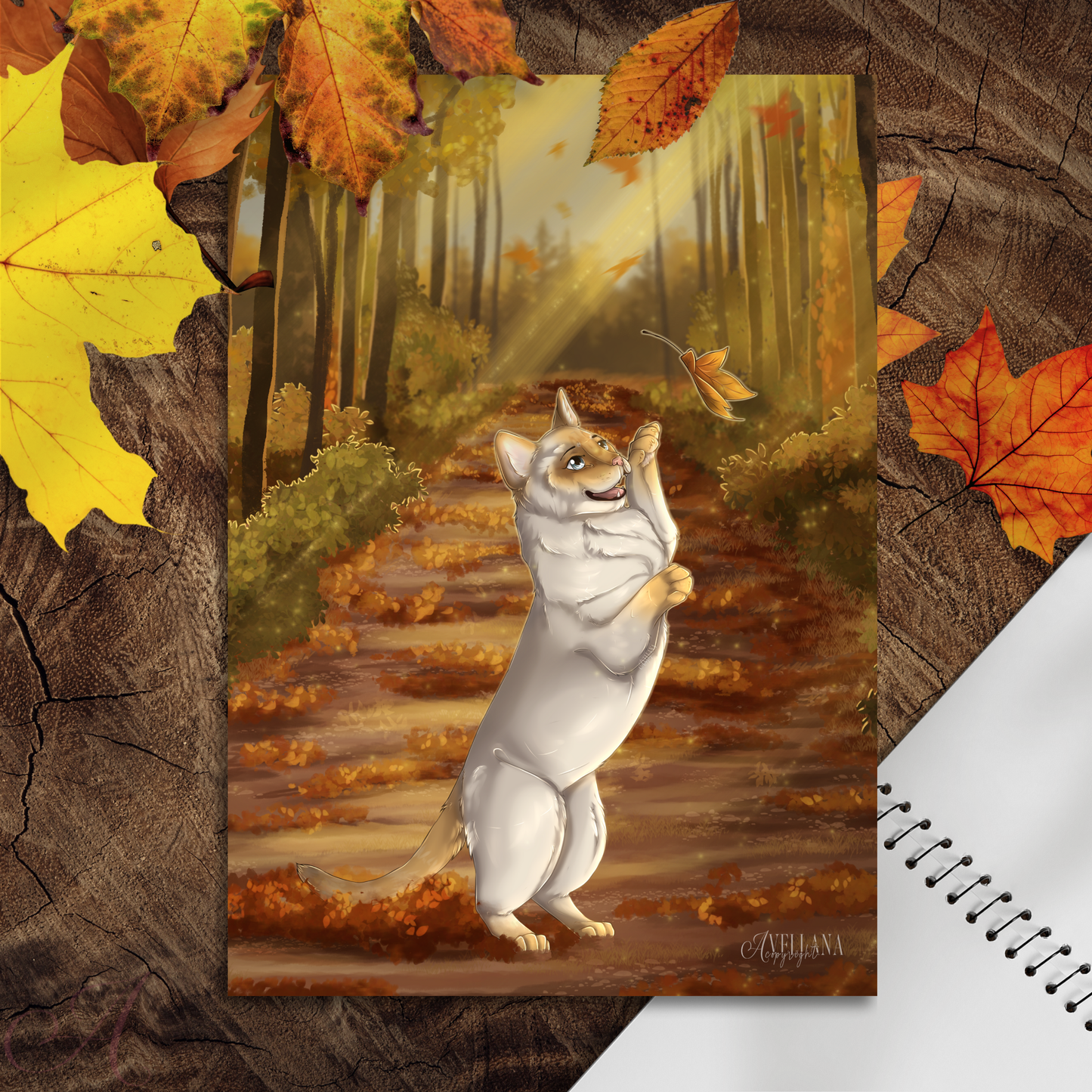 FLASH d'Automne 2025