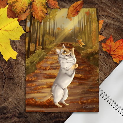 FLASH d'Automne 2025